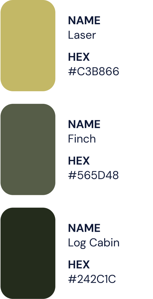 the Middle Colour Pallete 2v